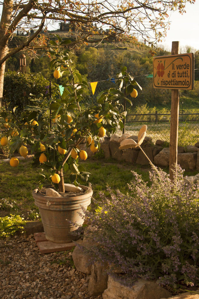 B&B Eridu Fiesole Exterior photo